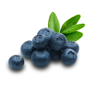BlueBerries